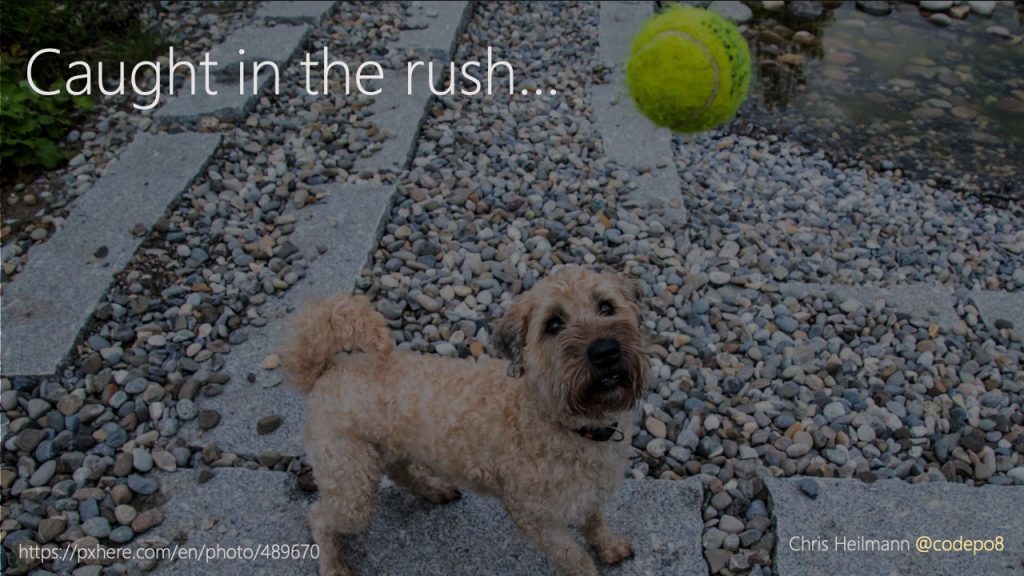 caught in the rush - a dog trying to catch a ball