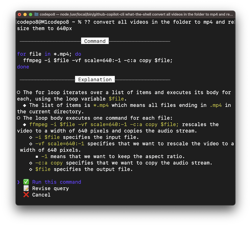 screeenshot of the terminal with the answer by copilot and a human readable explanation what the code does.